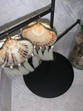 For the Shell of it! White